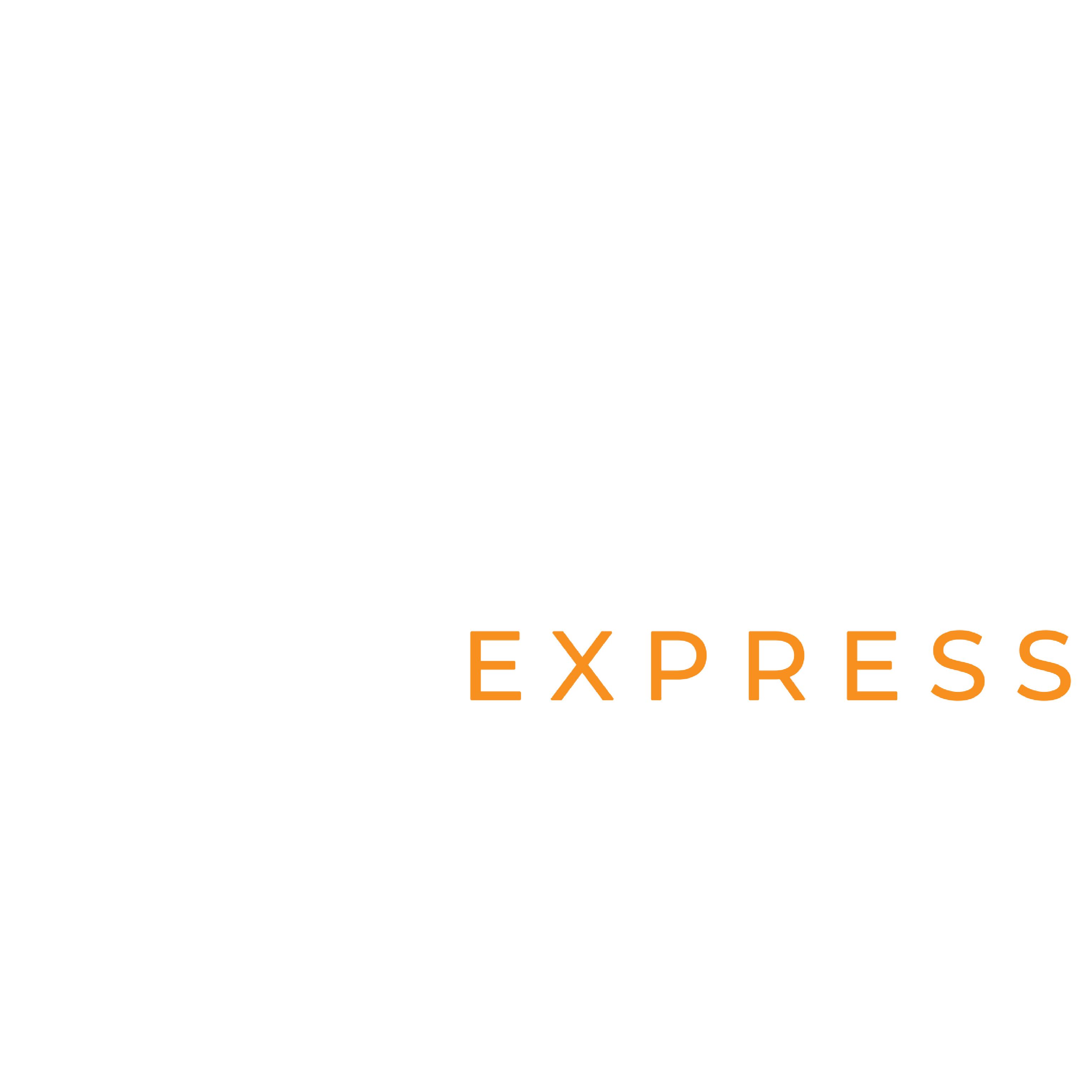 Brooklyn Express Logo